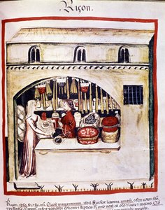 Rissælger - i Tacuinum Health af Unknown artist
