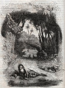 Ruggiero på øen Alcina, - 1851 gravering fra digtet Orlando furioso (1516) af Ludovico Ariosto, - Udgave oversat fra italiensk af greven af Tressan og udgivet af Gustave Harvard 1851 af Unknown artist