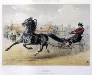 Rusland: Orloff opdrætter traver - i "" Kentauren"" 1867 af Unknown artist