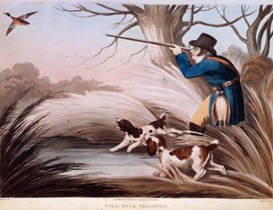 Scene med andejagt i England. 1800-tals litografi Gien, jagtmuseum af Unknown artist