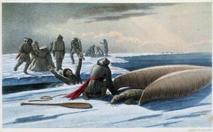 Sæljagt: "" Sæljagt i bugten"" - i "" Exploration of the Labrador Peninsula"" af Hind, London af Unknown artist