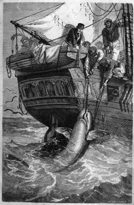 Hajfiskeri. (Pesca allo squalo) 1800-tals gravering. Privat samling. af Unknown artist