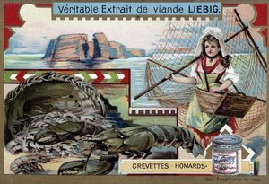 Rejer og hummer med en ung fiskerkvinde, der bærer sin kurv og et stort net - Liebig-kromolitografi af Unknown artist