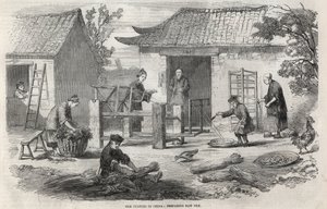 Silkeproduktion i Kina og de forskellige stadier af fremstillingen. af Unknown artist