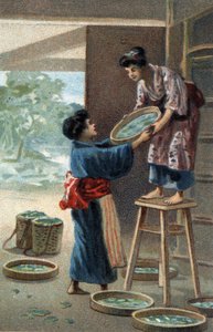 Silkeormeavl i en japansk magnet. Kromolitografi i slutningen af det 19. århundrede. af Unknown artist