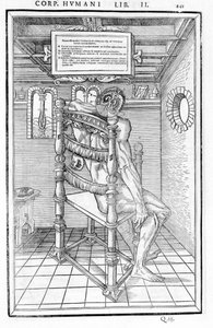 Skalle skåret. Anatomisk bord for "Dissektionen af ​​de tre dele af den menneskelige krop..." Carlo Stefano Riverio, Paris 1545 af Unknown artist