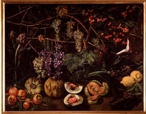 Stilleben med vindruer og squash (maleri af Unknown artist