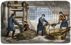 Sukkerfremstilling: udvinding af saft fra roemasse. Papirmassen er proppet i poser, der er stablet under bakken i en hydraulisk presse. Indgravering fra 1859. i "" Videnskabsmuseet"" af Unknown artist