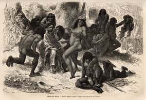 Chunchos-indianerne angreb holdet Marcoy i Caravaya-dalen (Andes cordilliere), men sidstnævnte havde intet at flyve, indianerne havde det sjovt med at klæde de opdagelsesrejsende af og finde på dem med rockoo-frø. Engravure pour illustrrer le voyage dans l af Unknown artist