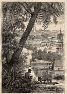 Ekspeditionen til de sydlige lande (1800-1803) af Nicolas Baudin (1754-1803): Udsigt over Sydney (Australien) - illustration fra "The Great Mariners of the 18th century"" af Unknown artist