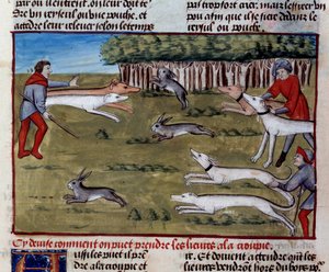 Hare Hunt Miniature fra "The Book of Hunting" af Gaston III Phoebus, greve af Foix, Lord of Bearn (1331-1391) af Unknown artist