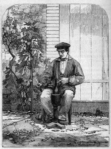 Aftapning af champagnevin. Stik fra 1864. af Unknown artist