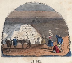 Indsamling af salt. 1800-tals illustration. Bianchetti samling. af Unknown artist