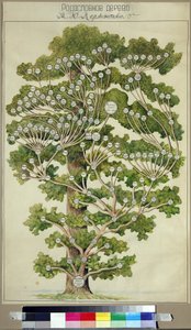 Mikhail Lermontovs (1814-1841) stamtræ af Unknown Artist