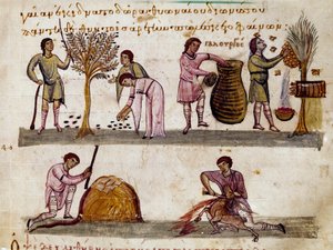 Høsten af oliven, produktionen af honning og lammeslagtningen Miniature fra jagtmalkningen ""The Cynegetics"" af Oppian (Oppian eller Oppianus) fra Syrien (3. århundrede e.Kr.) dedikeret til Caracalla. Venedig fra det 11. århundrede. Biblioteca Marciana af Unknown artist