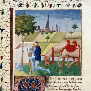 Ridderen af det runde bord Gauvain (eller Gawain), nevø af kong Arthur nær et springvand. Miniature fra manuskriptet "The novel of the Quete of the Grail"" 1450-1460 Dijon, Kommunalbibliotek af Unknown artist