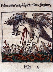 Legenden om pelikanen: han giver sit blod og indvolde for at fodre sine unger. Fra Historiae animalium af Konrad Gesner, Tiguri af Unknown artist