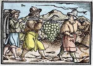 Joshuas og Kalebs tilbagevenden med en enorm klase druer fra Kanaans land (det forjættede land). Kronik af Johann Stumpff "" Den edlen strucen besten fromen"" af Unknown artist