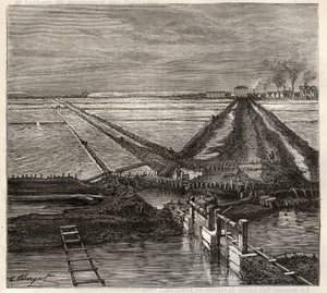 Saltmarsken i Giraud i Camargue (Bouches-du-Rhone), udsigt taget fra servicekanalen - indgravering i 