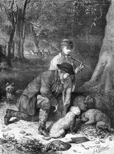 Trøflerne. Gravering fra 1870. af Unknown artist