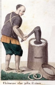 Un chinese qui pille le riz - i Den universelle dragt for alle verdens folk af Unknown artist