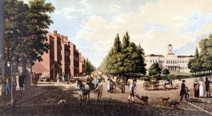 Udsigt over New York: Broadway og Rådhus. SD litografi omkring midten af 1800-tallet. af Unknown artist
