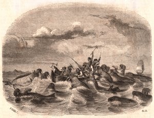 Udsigt over en gruppe engelske sømænd, der jagtede en flok hvalrosser i 1818 ud for Spitsbergens kyst af Unknown