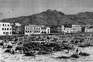 Udsigt over Adens march i Abessinien. Indgravering omkring 1880 af Unknown artist