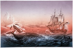 Hvalfangstfartøjet formåede ikke at redde sine hvalkæntrede både af Unknown artist