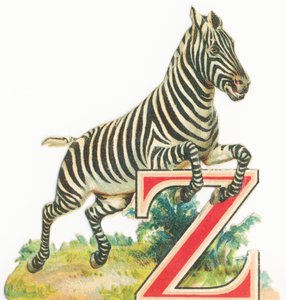 Fra: Zebra af Unknown artist