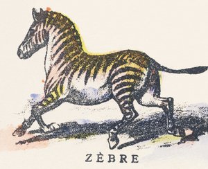 Z: zebra af Unknown artist