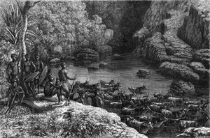 Zulouland i Afrika: fordi skoven ikke byder på de nødvendige ressourcer, er zulu-stammen forpligtet til at gå ned til sletterne, hvor de dyrker og opdrætter kvæg. Indgravering i ""La Nature"" af Unknown artist