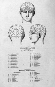 illustration fra Charles Rouvins bog fra 1873 Organographie La Tête humaine, illustrerede undersøgelser af frenologi og fysionomi anvendt på berømte karakterer Paris 1873 af Unknown artist