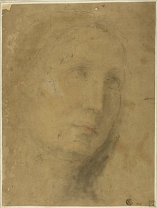 Hovedet kigger opad af Unknown Sienese