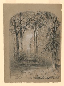 Tegning, studie af skovområde, 1865-70 af Unknown artistUnknown artist