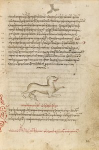En hund af Unknown artist