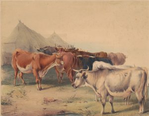 En flok kvæg af Unknown artist