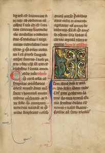 Et Peridexion-træ af Unknown artist