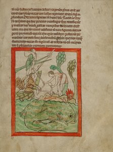 Et havdyr af Unknown artist