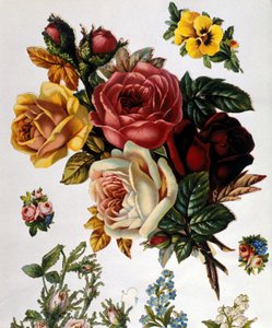En buket roser. 1800-tallets kromolitografi. af Unknown artist