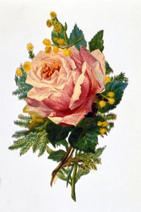 Opstod af Unknown artist