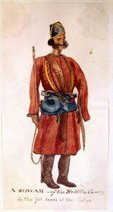 En sowar fra Rohilla-kavaleriet af Unknown artist