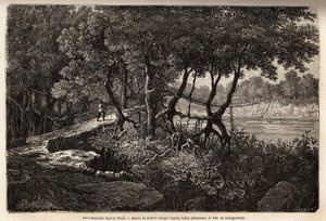 En hængebro i Terai ("Vådområde"), dette område med marcaagous enge danner bunden af Himalaya og grænser op til Nepal syd for den indiske grænse. Gravering for at illustrere udforskningen af Øvre Asien fra 1854 til 1857 af Schlagintweits brødre, af Unknown artist