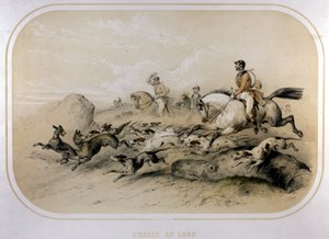 En ulvejagt. 1800-tals gravering. af Unknown artist