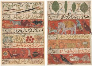 Dyr, ædelstene, mønter og musikinstrumenter (recto); Dyr, fugle og planter (verso) fra en Mu