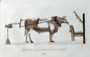 Apparat til at vænne okser til linen. Plade taget fra "" Journal of agriculture, arts and techniques "" (Revue d