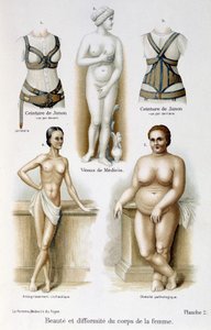 Skønhed og deformitet af kvindens krop (mager og fedme); Junos bælter - i "Kvinden, hjemmelæge"" af Unknown artist