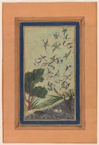 Fugle ved Baran, muligvis fra Babur-nama af Unknown artist