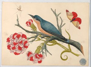 Blå fugl på gren med nelliker og insekter af Unknown artist