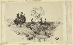 Bæk i Skov af Unknown artist